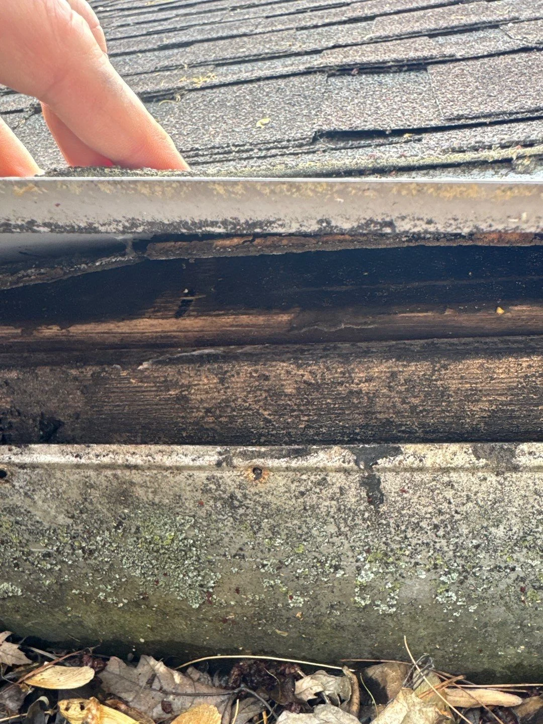 What Does a Commercial Roof Maintenance Plan Cover? A Bridlewood Guide